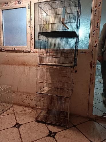 Iwlenmiw iran qefesi dord edet qalib qiymet bir ededine aitdir