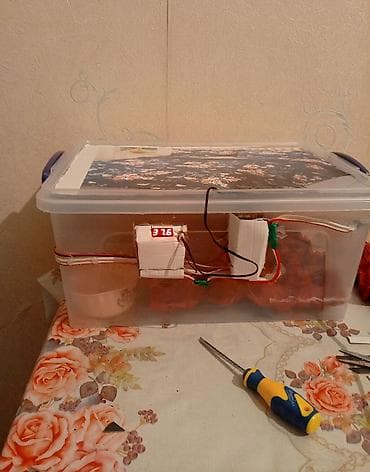 Оборудование для мойки: Азербайджан, Полностью автоматическая, Для всех видов птиц, Инстуркция на азербайджанском языке — 2