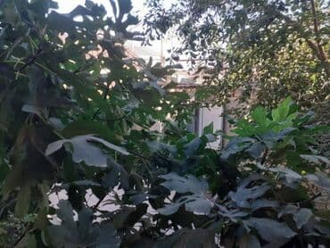 kiraye evler 2022 1 otaqli: 90 kv. m, 2 otaqlı — 5