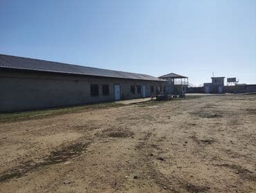 земельные участки коммерческого назначения: 250 соток, Риэлторам не беспокоить, Купчая — 8