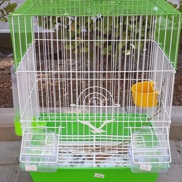 dovşan balası: Dovşan yemləri 2azn Dovşan balaları 5azn topdan Sadə yem Topdan 1-azn — 26