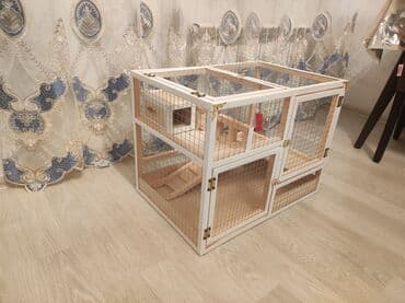 ag dovsan: Dovşan,hamster,dağ — 2