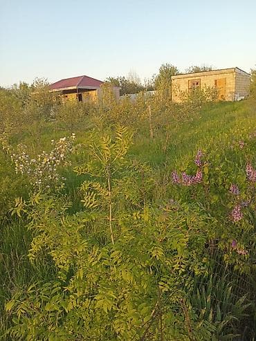 kənd əhmədli: 6 sot, Biznes üçün, Mülkiyyətçi, Kupça (Çıxarış) — 3