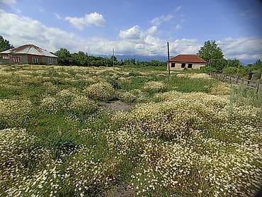 emircanda kirayə evler: Tikinti — 3