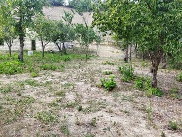 продается земельный участок: 24 sot, Kənd təsərrüfatı, Kupça (Çıxarış) — 12