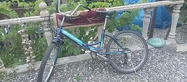 İdman və hobbi: Şəhər velosipedi Start, 24" — 1
