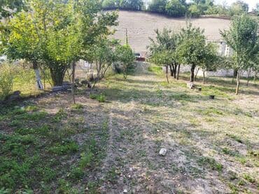 продается земельный участок: 24 sot, Kənd təsərrüfatı, Kupça (Çıxarış) — 4