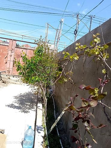 masazir dream park evlerin satisi: Masazır 3 otaqlı, 95 kv. m, Kredit yoxdur, Orta təmir — 5