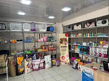 kanqal satilir: Zbor satilir suseli vitrin 250 sadesi 200 istenilen formada — 3