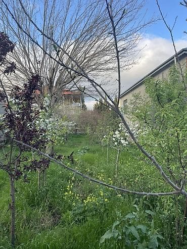 veles agaci: Salam.4.5 sot merkezi yoldan 2 deqiqelik mesafede asfalt — 2