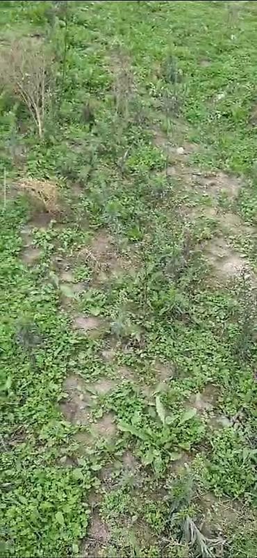 Квартиры: Для строительства — 3