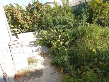 tap az yeni guneslide kiraye evler: Binəqədi qəs. 8 otaq, 240 kv. m, Kredit yoxdur, Yeni təmirli — 1