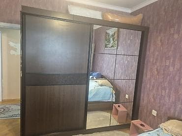 Mebel: İşlənmiş, 2 qapılı, Güzgülü, Qəhvəyi, Kupe, Düz dolab — 1