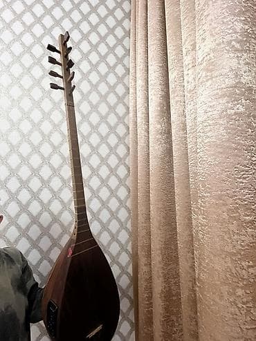 ses aparatura: Elektrikləşdirilmiş saz - Korpus: təbii ağacdan, armud formalı — 1