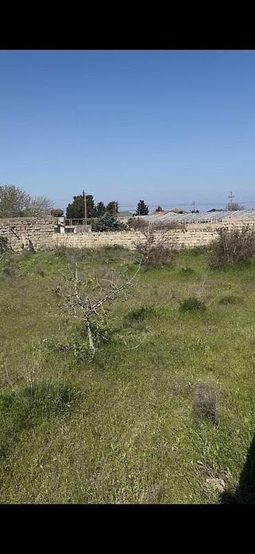 7 sot, Tikinti, Mülkiyyətçi, Kupça (Çıxarış)