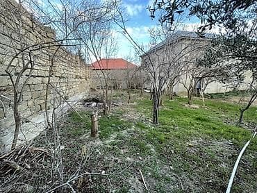 quba 5 sotlar: 4 sot, Tikinti, Mülkiyyətçi, Kupça (Çıxarış), Texniki pasport — 3