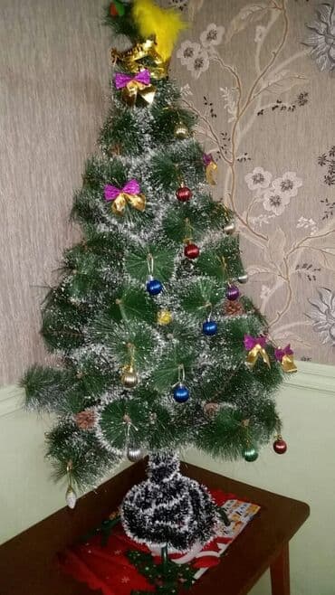 Yeni il Ağacı
Şam ağacı
Vəziyəti yaxşıdı — 1