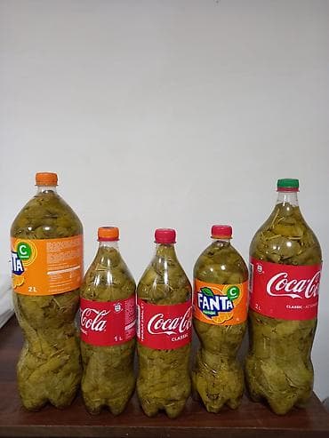 turşu: Duzlu suyla sıx yigilib nazik yumşaq yarpaqdir.1 litrlik butulka 5 — 3