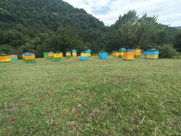 дистиллированная вода баку: Salam .Təcili pul lazim olduğu üçün çox ucuz qiymətə verirəm.Balin — 7