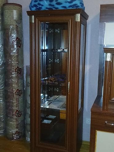 Полочные витрины: Стеклянная витрина-шкаф — 2