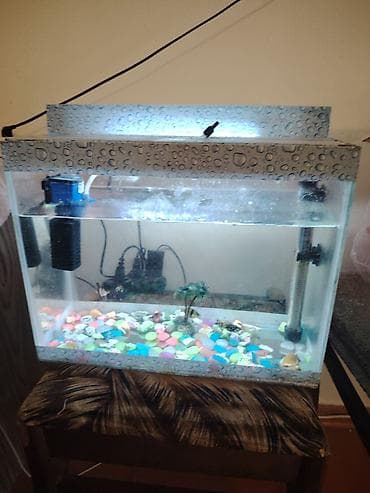 Kakvaryum hava su qizdirici led isiq dekor 5 eded argilal baliq hamsi