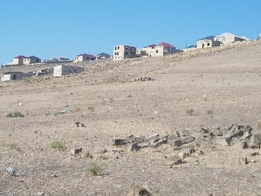 findiq agaci satilir: 16 sot — 1