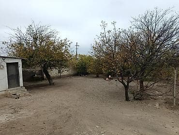 qaz sobasl: Bakı-Quba yolunun Siyəzən rayon ərazisində asfalt yoldan 150 metr — 8