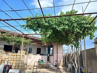Həyət evi alıram: Nardaran qəs. 3 otaqlı, 3 kv. m, Kredit yoxdur, Orta təmir — 8