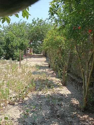 sumqayitda ev: 6 sot, Tikinti, Makler, Kupça (Çıxarış) — 10
