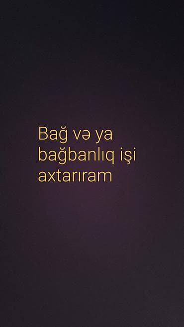is axtram: Bağ və ya bağbanlıq işi axtarıram Təklif olunan xidmətlər: - Həyət və — 1