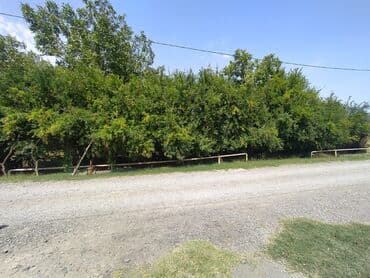 купить недвижимость в баку: 12 sot, Kənd təsərrüfatı, Mülkiyyətçi, Kupça (Çıxarış) — 4