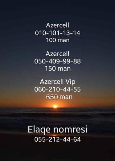 Nömrə: ( 010 ) ( 1011314 )