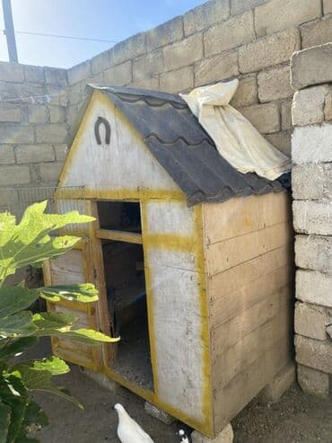 клетка для попугаев: Taxtadan hazırlanmış göyərçin yuvası, dam örtüyü ilə təchiz — 6