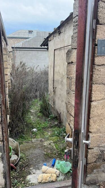 Kirayə torpaq sahələri: 2 sot, Kupça (Çıxarış) — 7