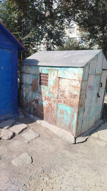 ari sudu harda satilir: Quş yuvası satılır — 3