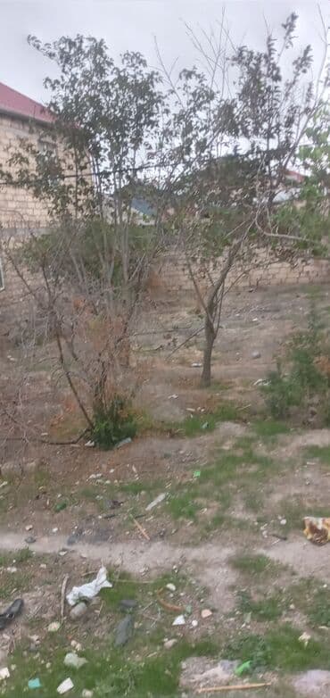 mx group inşaat: 2 sot, Tikinti, Mülkiyyətçi, Kupça (Çıxarış) — 9