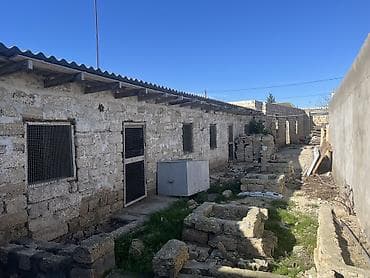 Daşınmaz əmlak: 3 sot — 4