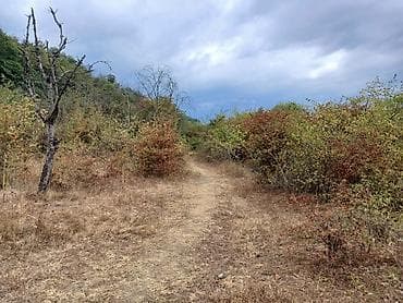 gencede torpaq: 170 sot, Biznes üçün, Mülkiyyətçi, Kupça (Çıxarış) — 8