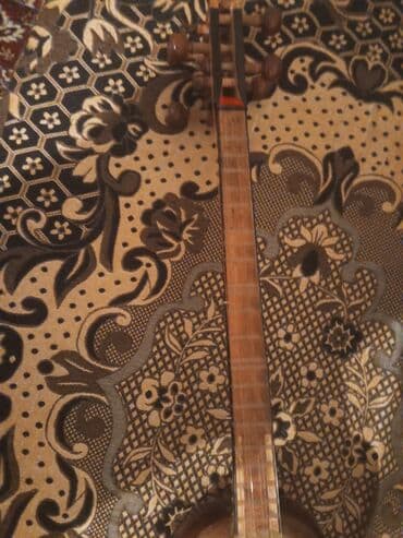 Akkordeonlar: Tar uçebnidir üzü simləri ve tacı deyişlmelidir 100 manatadır isdeyen — 8