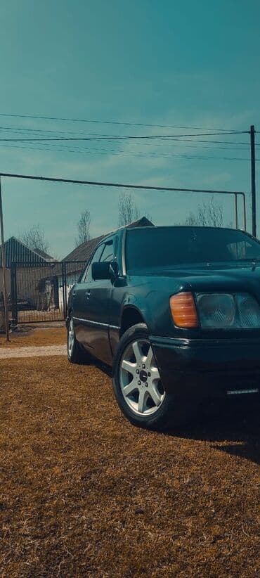 disk satışı: Mercedes-Benz 220: 2.2 l | 1994 il Sedan — 3