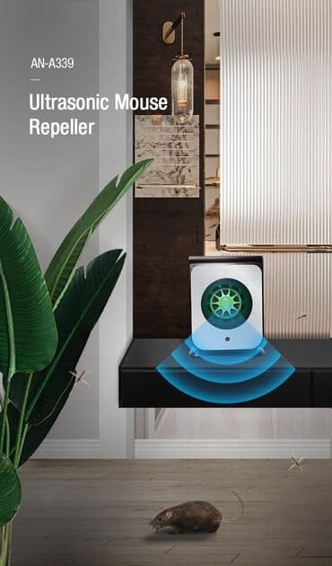 siçan zeheri: Siçan qovan, Yeni, Pulsuz çatdırılma — 3