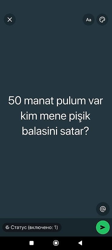 şotlanski pişik: Məhsul: Pişik balası axtarışı Təsvir: — 50 manat büdcə ilə pişik — 1