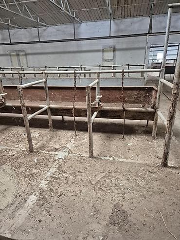 ucar emlak: Ferma mal saxlamaq üçün mükemmel bir yerdi erazisi böyük ve elave — 9