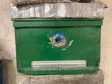 Бараны, овцы: Arıçılıq üçün taxta arı pətəyi (korpuslu sistem) - Material: qalın — 2