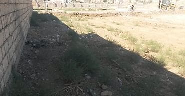 merdekan torpaq: Kənd təsərrüfatı, Kupça (Çıxarış) — 2