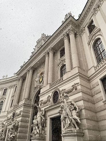 Tədbirlərin təşkili: Peşəkar tur xidməti – Vyana mərkəzində gecə və gündüz Təsvir: - — 8