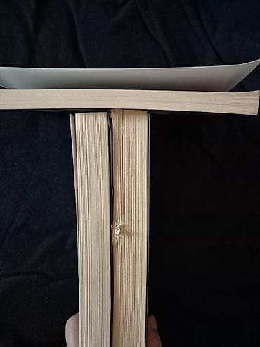 ikinci el test kitabı: Hüzünlü bir ponçik Kelimelerle İknanın Psikolojisi, 100 $lık — 3