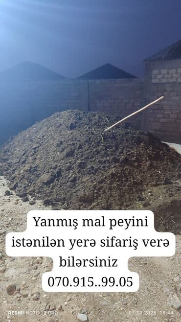 badamlı su 19 lt qiymeti: Məhsul: Yanmış mal peyini Təsvir: - Təbii, tam fermentləşmiş (yanmış) — 1