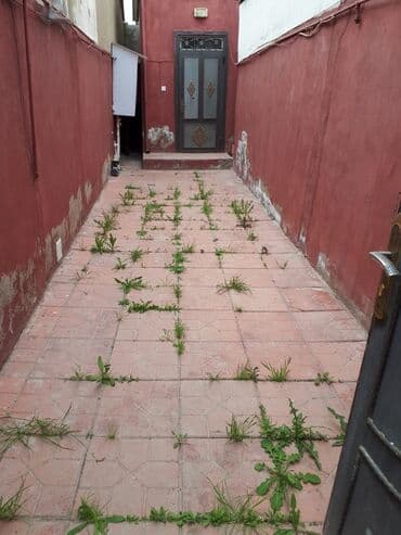 регистрация ооо: Поселок Бинагади 2 комнаты, 55 м², Нет кредита, Свежий ремонт — 7