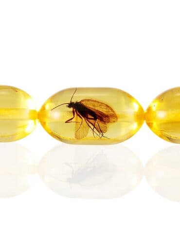 теке медовая паста: Kəhrəba təsbeh,yeganə nüsxə – unikal inklüziyalı!!! 100% təbii,qaya — 1